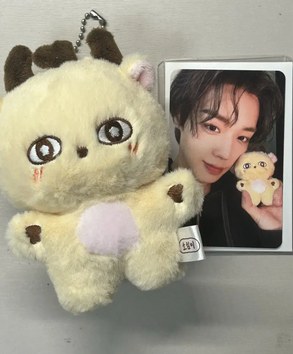 WOODZ DAY MOODI PLUSH KEYRING スンヨン WOODZ - [ 2025 WOODZ